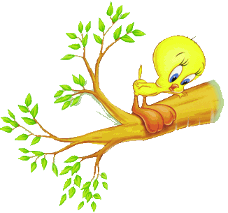 titi_arbre.gif (16892 octets)